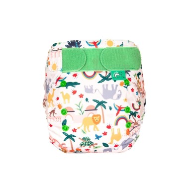 Cloth Diaper AIO Tots Bots