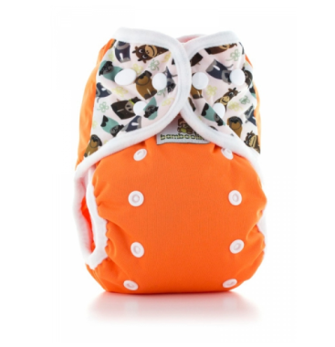 AI2/SIO or COVER – Snaps BAMBOOLIK