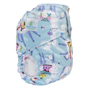 Cover Blümchen SNAP