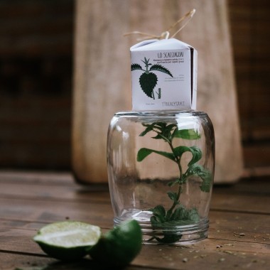 Lo Scacciaguai - shampoo e balsamo solido 2 in 1 purificante per capelli grassi Ethical Grace