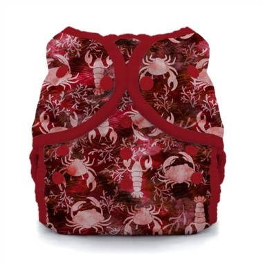 Cover Duo Wrap sz. 2 Thirsties SNAP