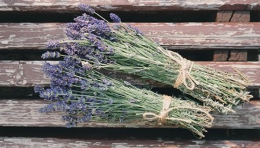 ECO Lavanderia: ammorbidente con olio essenziale di lavanda – Greenatural