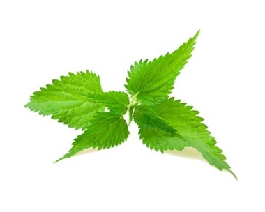 Eco Spray MULTIUSO ossigeno attivo - Greenatural