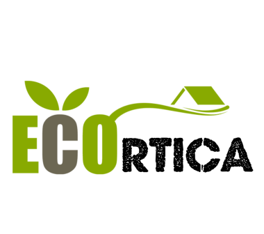 EcoOrtica - Aloe & Lemon Dishes Detergent 500ml GreeNatural