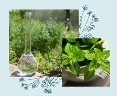 ECO BIO Collutorio alla Menta Bianca - Officina Naturae