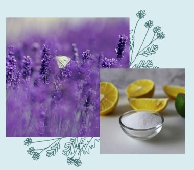 Ammorbidente Ecologico Vegetale Concentrato (4lt) - Solara