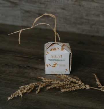 Piccoli semi Shampoo - Ethical Grace