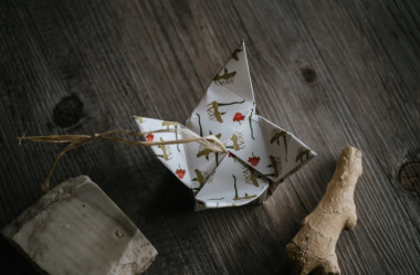 Gengevo - Shampoo e balsamo solido 2 in 1 volumizzante per capelli normali o fini Ethical Grace Gengevo - Shampoo e balsamo solido 2 in 1 volumizzante per capelli normali o fini Ethical Grace