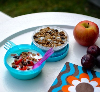 Snack holder with integrated ice bottle - Carl Oscar