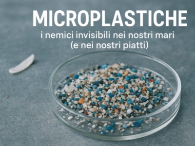 Microplastiche: un minuscolo nemico dal grande impatto